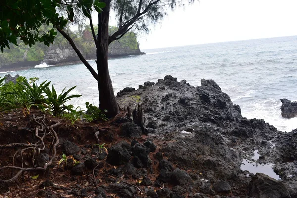 Costa Hawaiana Largo Del Océano Pacífico Con Selva Tropical Rompiendo —  Fotos de Stock