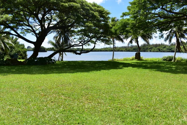 Costa Hawaiana Lungo Oceano Pacifico Con Foresta Pluviale Rompere Spiaggia — Foto Stock