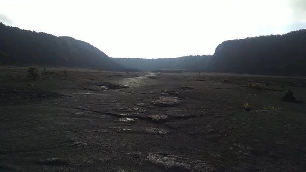 夏威夷森林的前火山口重新生长 石榴开始突破粗糙的火山岩 — 图库照片