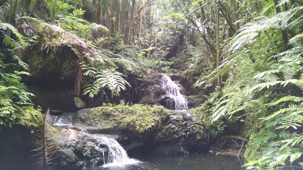 Cascade Glissant Des Rochers Dans Une Piscine Paisible Milieu Une — Photo