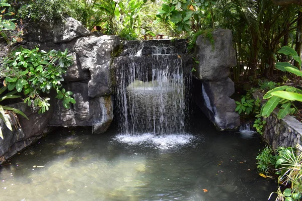 하와이의 식물원 스톡 사진