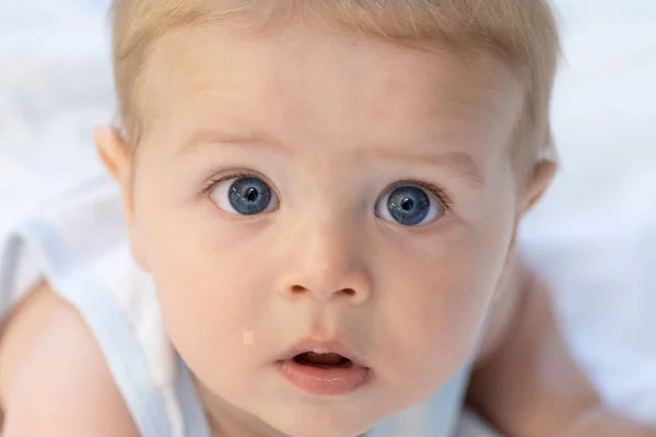 不思議なことに間近でトリミングされた肖像画のレンズを見つめながら巨大な青い目と愛らしい新生児 — ストック写真