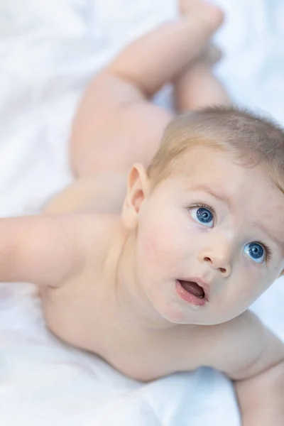 Bayi Kecil Yang Tenang Penasaran Dengan Mata Biru Yang Besar — Stok Foto