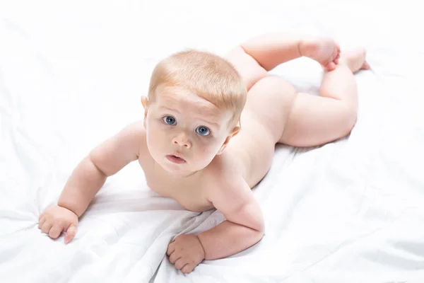 스러운 신생아 인상에 화이트 침대를 그것의 그것의 카메라에 눈으로 초상화 — 스톡 사진
