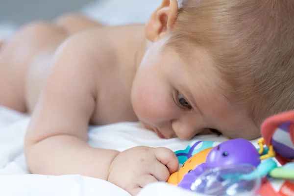 Bayi Laki Laki Kecil Melihat Berbagai Macam Plastik Mainan Pendidikan — Stok Foto
