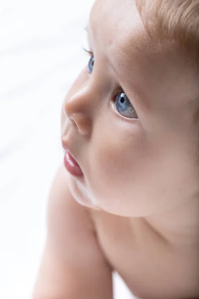 Portrait Adorable Innocent Newborn Blue Eyed Baby Close Cropped Side — Stock Photo, Image