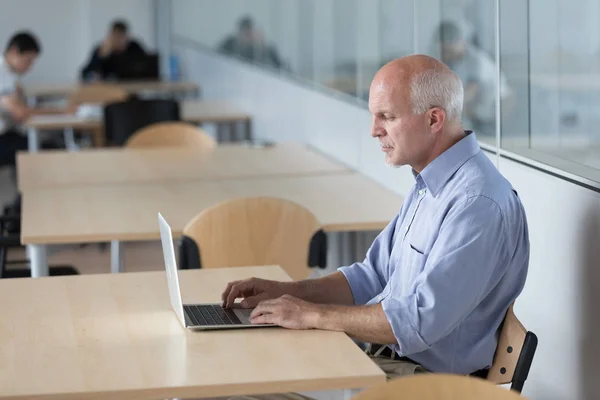 Senior-Mann vertieft in Arbeit am Laptop — Stockfoto