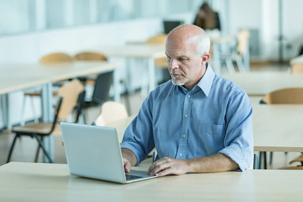 Businessman working on a laptop in a canteen — Stock Photo, Image