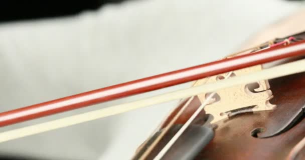 Violinista tocando - close-up de suas mãos — Vídeo de Stock