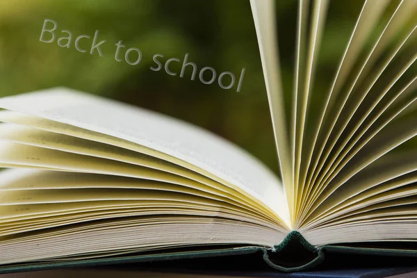 Bücherstapel Auf Grünem Hintergrund Mit Konzept Zurück Die Schule — Stockfoto