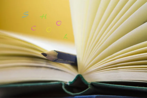 Stapelen Van Boeken Pen Met Rug Naar School Concept — Stockfoto