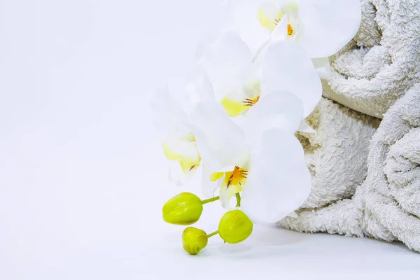 Saponi Orchidee Concetto Spa Relax — Foto Stock