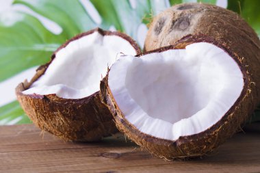 Hindistan cevizi ahşap tablo