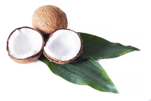 Pedaços Coco Isolados Sobre Branco — Fotografia de Stock