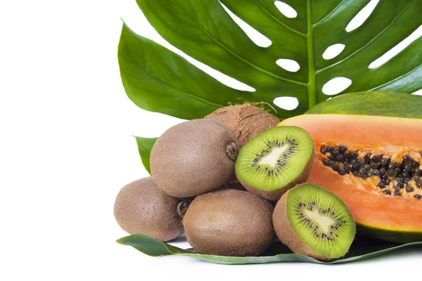 Buah Tropis Pepaya Kiwi Dan Kelapa — Stok Foto