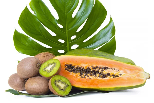 Buah Tropis Pepaya Kiwi Dan Kelapa — Stok Foto