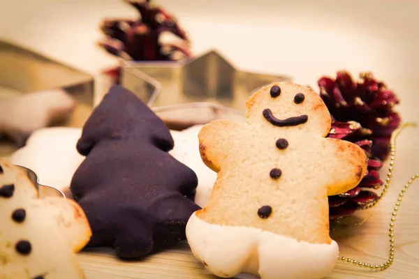 圣诞自制姜饼饼干 — 图库照片