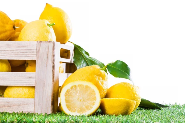 Box Lemons Isolated — Stock Photo, Image