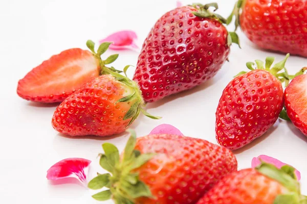 Frutas Verano Fresas Aisladas — Foto de Stock