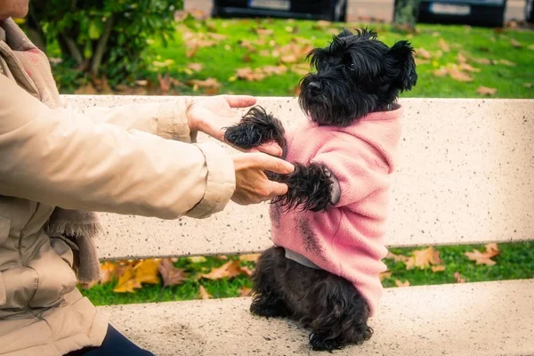 Alte Frau Und Ihr Hund Sitzen Draußen Auf Bank — Stockfoto