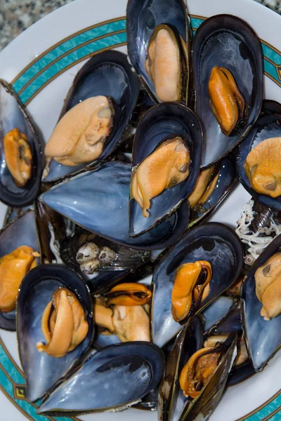 Plate Steamed Mussels — Stock Photo, Image