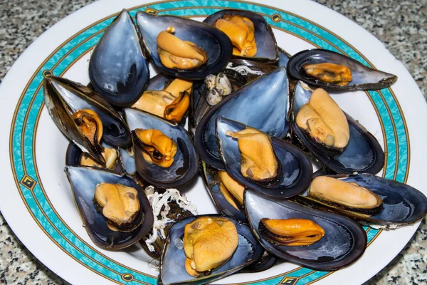 Plate Tasty Steamed Mussels — Stock Photo, Image