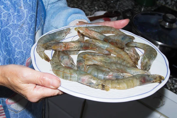 Gericht Mit Leckeren Frischen Garnelen — Stockfoto