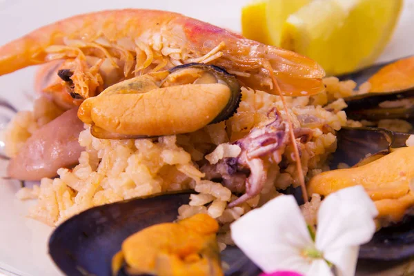 Вкусный Рис Блюдами Морепродуктов — стоковое фото