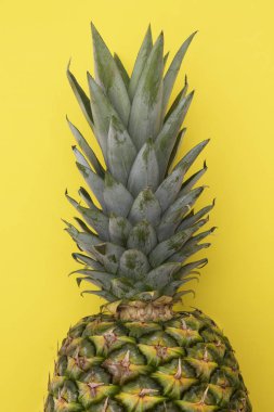 tropikal yaz meyvesi, sarı arka planda ananas