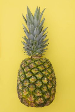 tropikal yaz meyvesi, sarı arka planda ananas