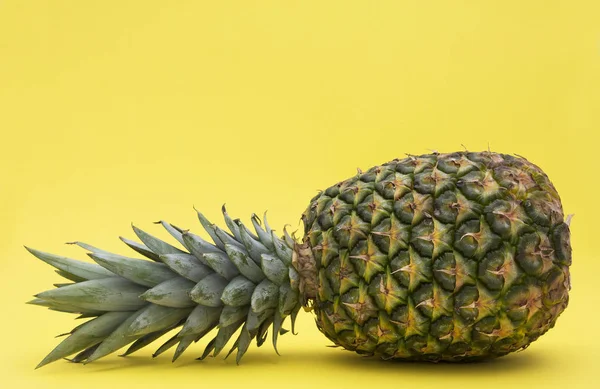 tropikal yaz meyvesi, sarı arka planda ananas