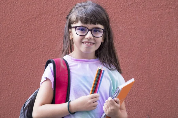 Estudante Com Mochila Pasta Canetas Volta Escola — Fotografia de Stock