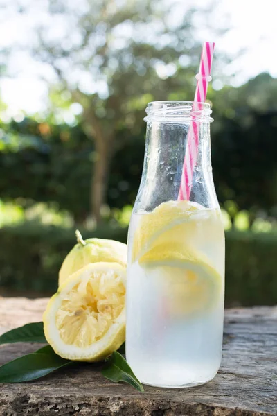 Čerstvé Letní Plody Vody Nebo Limonády Citrónem Mátou Pozadí Zavřít — Stock fotografie