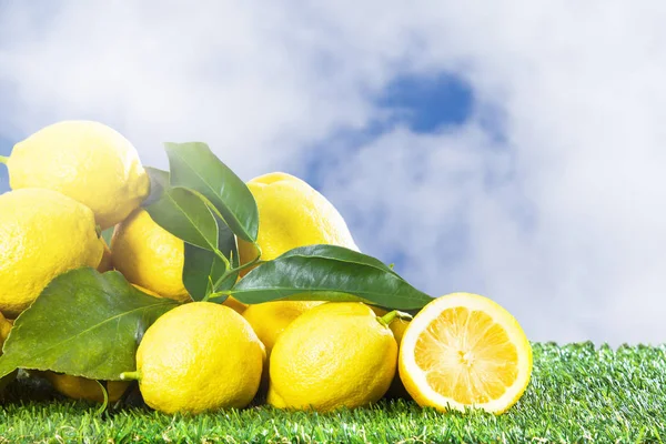 Lemons Leaves Background — Stock Photo, Image