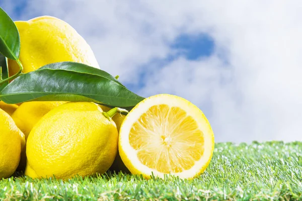 Limones Con Hojas Sobre Fondo —  Fotos de Stock