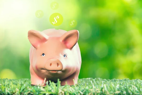 Sparschwein Mit Dollarsymbol Auf Gras — Stockfoto
