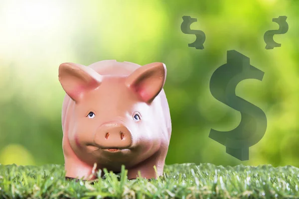 Sparschwein Mit Dollar Auf Gras — Stockfoto