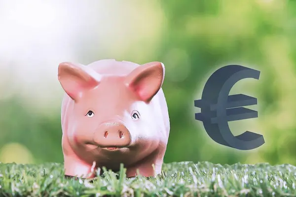 Sparschwein Und Euro Auf Gras — Stockfoto