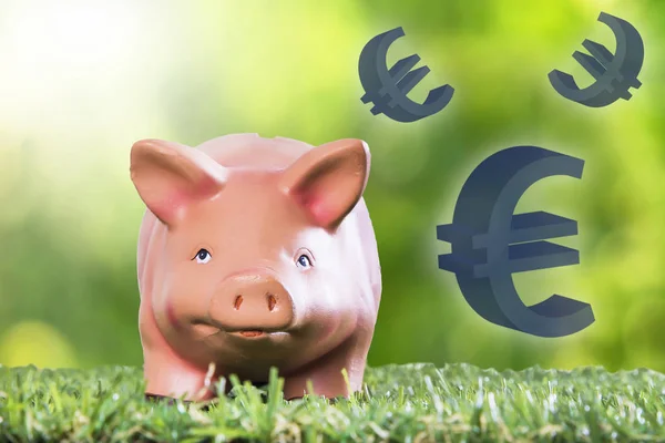 小猪银行和欧元在草地上 — 图库照片