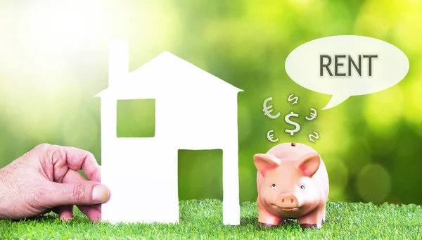 Hand Huis Varken Piggy Bank Gras Concept Van Spaargeld Vastgoed — Stockfoto