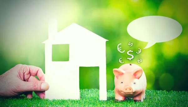 hand, house, pig piggy bank on grass. concept of savings and real estate