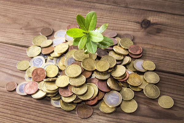 Stack Coins Green Leaf Savings Finance Concept — Stock Photo, Image