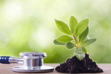 Steteskop ve yerdeki yeşil dal.