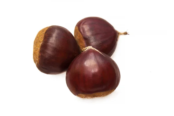 Raw Chestnuts Isolated White — Stock Photo, Image