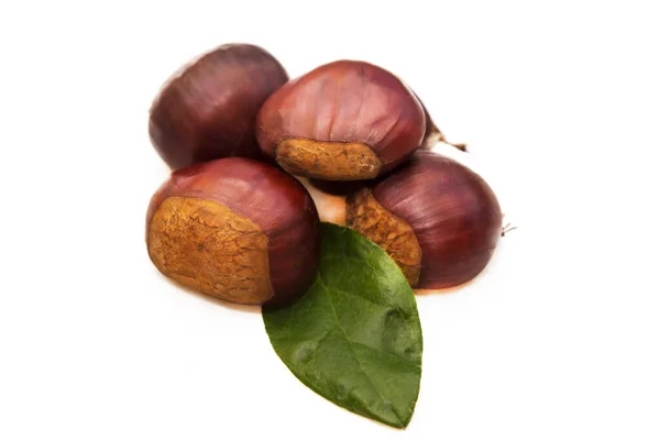 Raw Chestnuts Isolated White — Stock Photo, Image