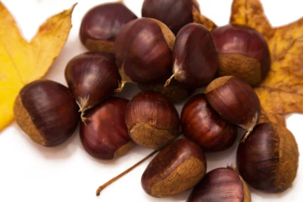 Tasty Group Chestnuts Isolated — Stock Photo, Image