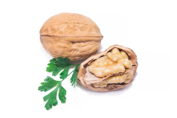 Вкусные Орехи Изолированные Белый — стоковое фото
