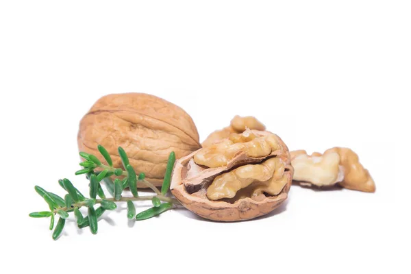 Walnut Closed Another Open Isolated White — Stock Photo, Image