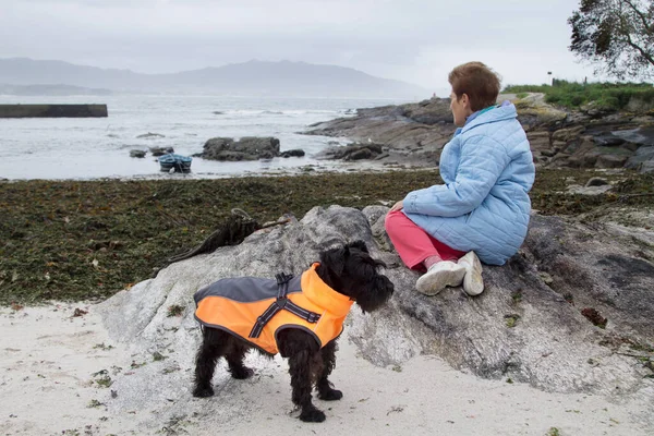 Einsame Seniorin Mit Hund Die Von Der Küste Aus Aufs — Stockfoto