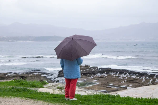 우산을 바다를 바라보고 — 스톡 사진